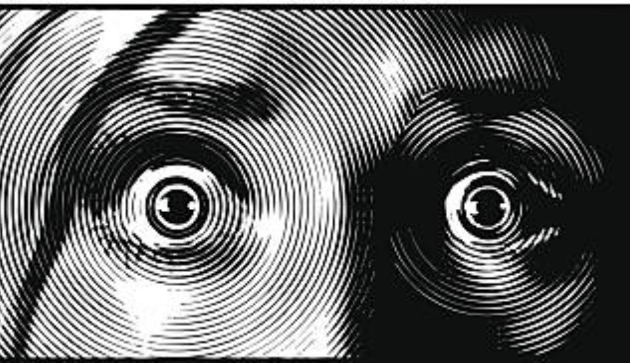 İt'ten Aşağılık Bir Hayat - Furkan Kılıç